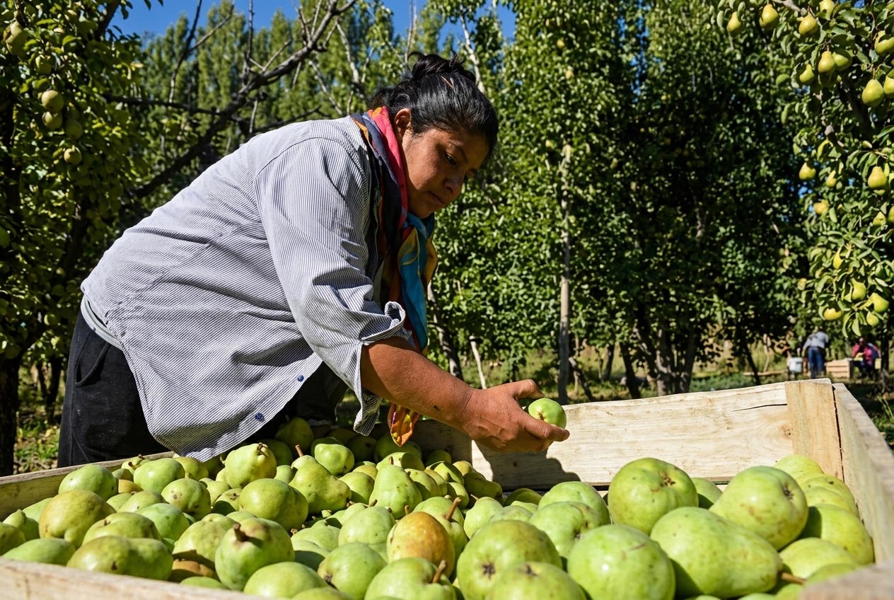 Agrupación Mujeres que Aman las Chacras